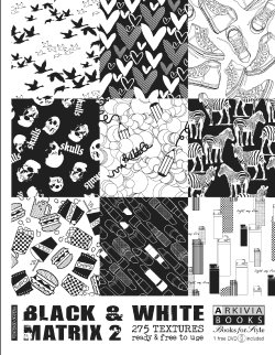 Black & White Matrix 2